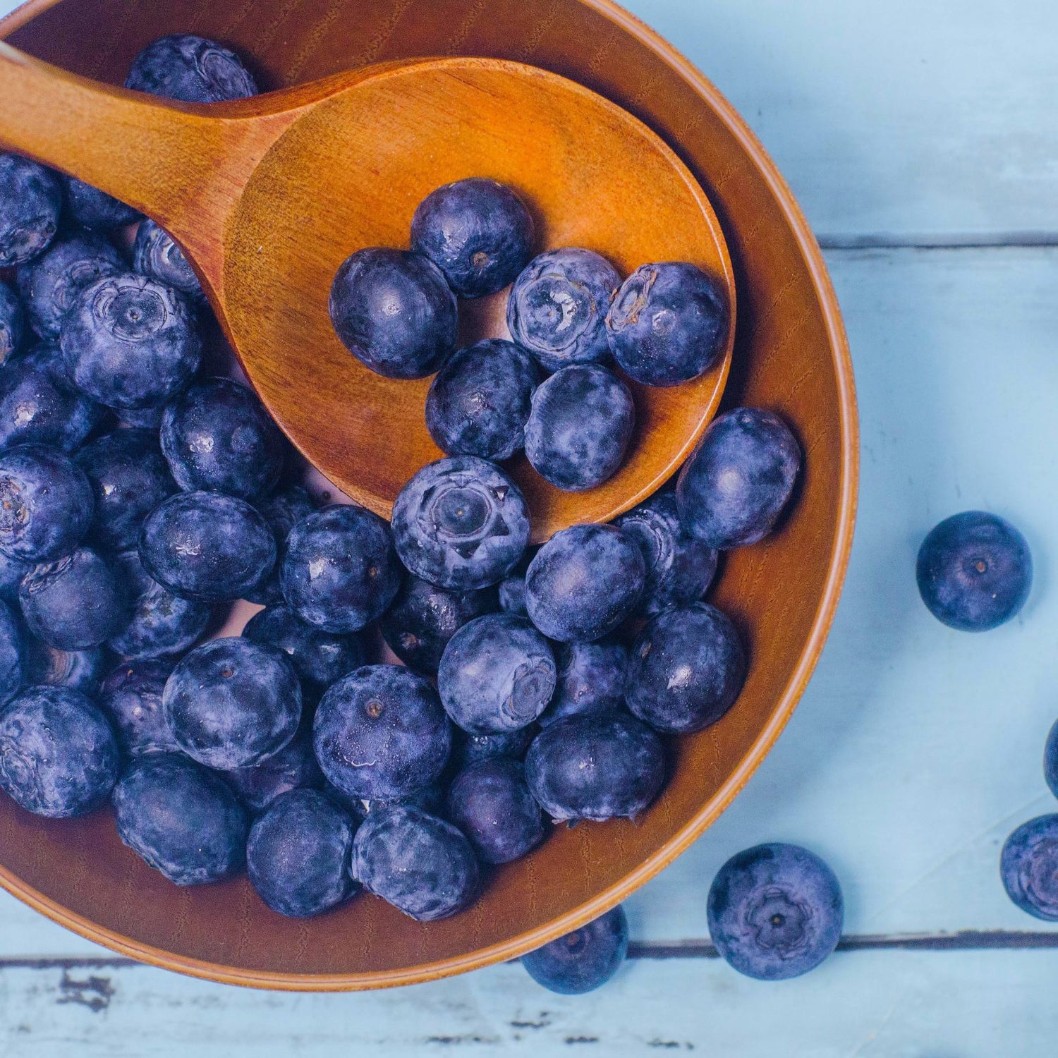 Bowl of organic blueberries