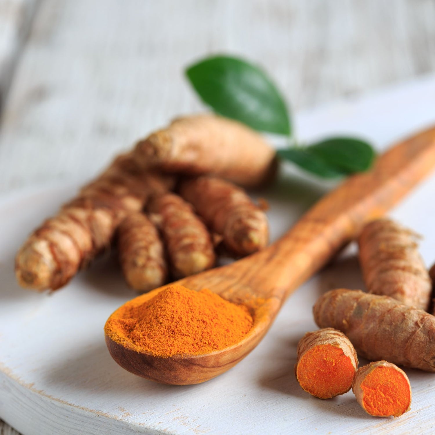 Organic ground turmeric on a wooden spoon and whole ginger